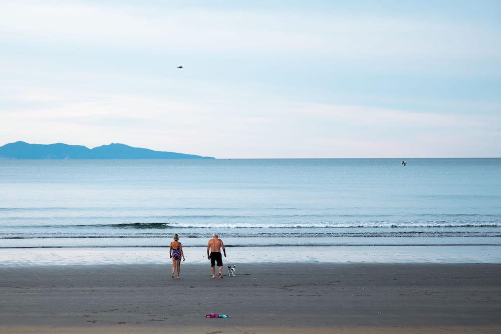 Photo of Others in Waihi Beach