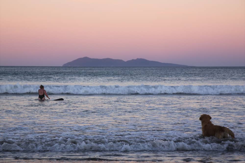 Photo of Others in Waihi Beach