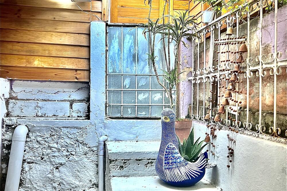 Photo of Outdoor in De Guadalupe