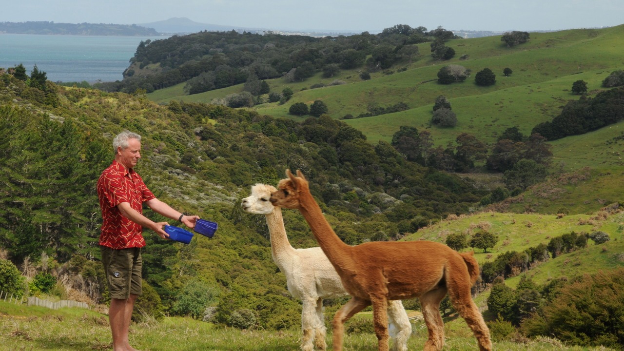 Photo of Outdoor in Mahurangi West