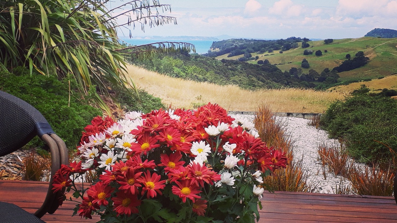Photo of Outdoor in Mahurangi West