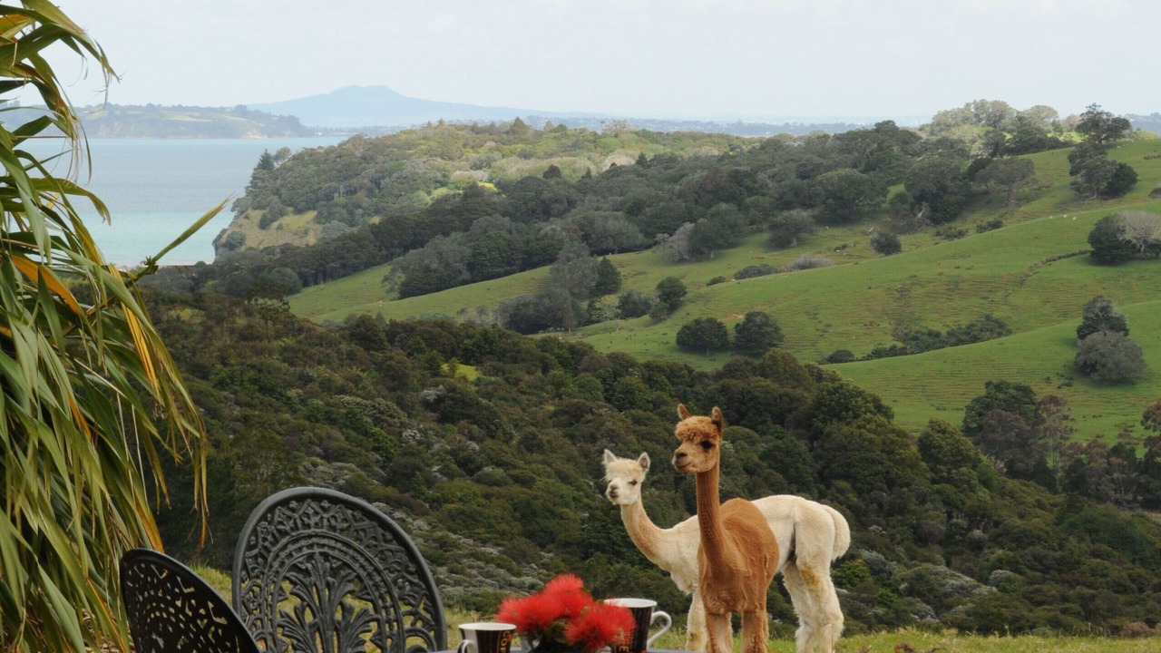 Photo of Outdoor in Mahurangi West