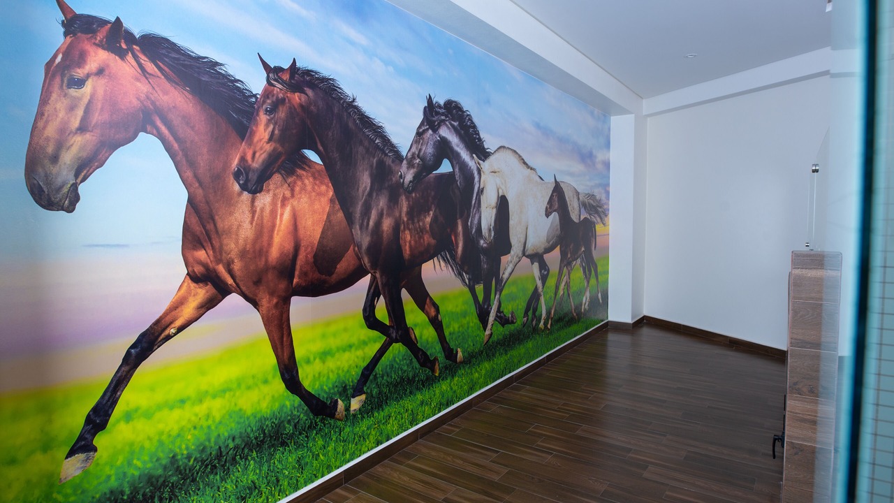 Photo of Bedroom in Texcoco