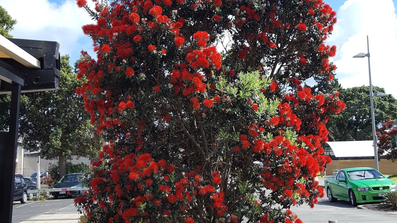 Photo of Outdoor in Torbay