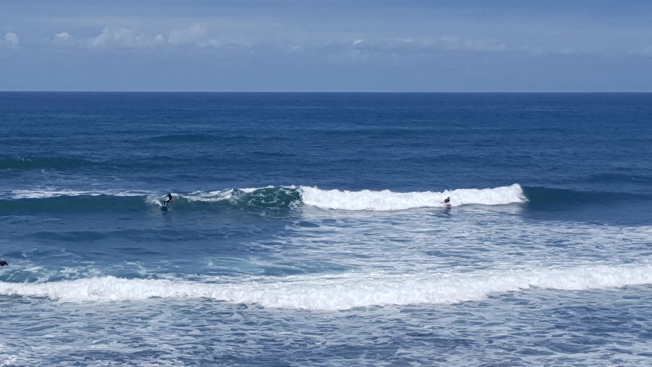 Photo of Others in Torbay