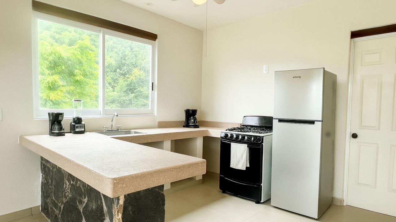 Photo of Kitchen in Ixtapa