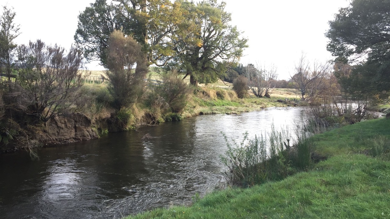 Photo of Others in Ohakune