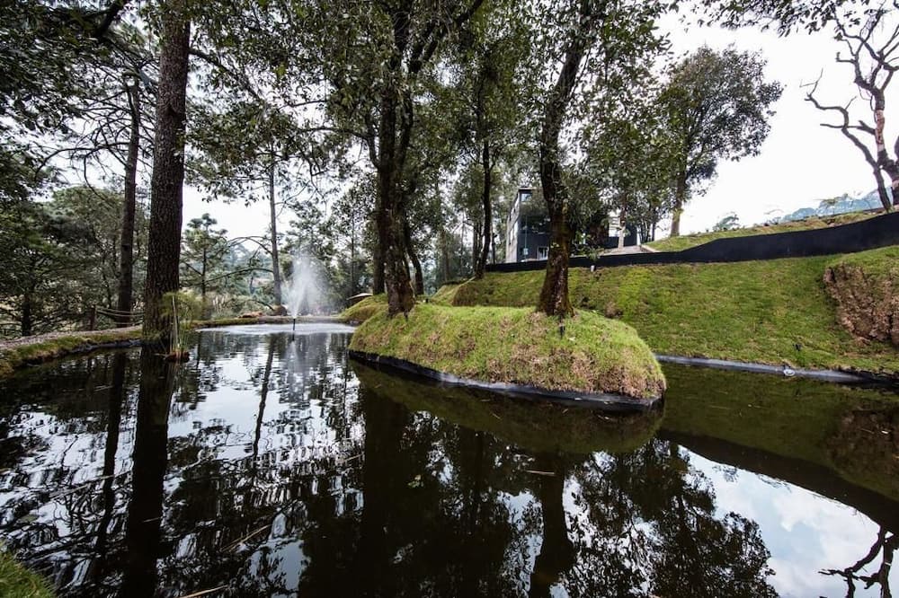 Photo of Outdoor in Magdalena Contreras