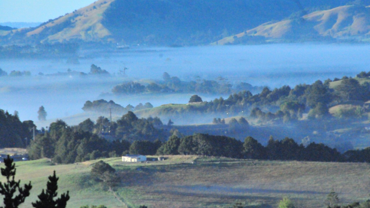 Photo of Outdoor in Maungatapere