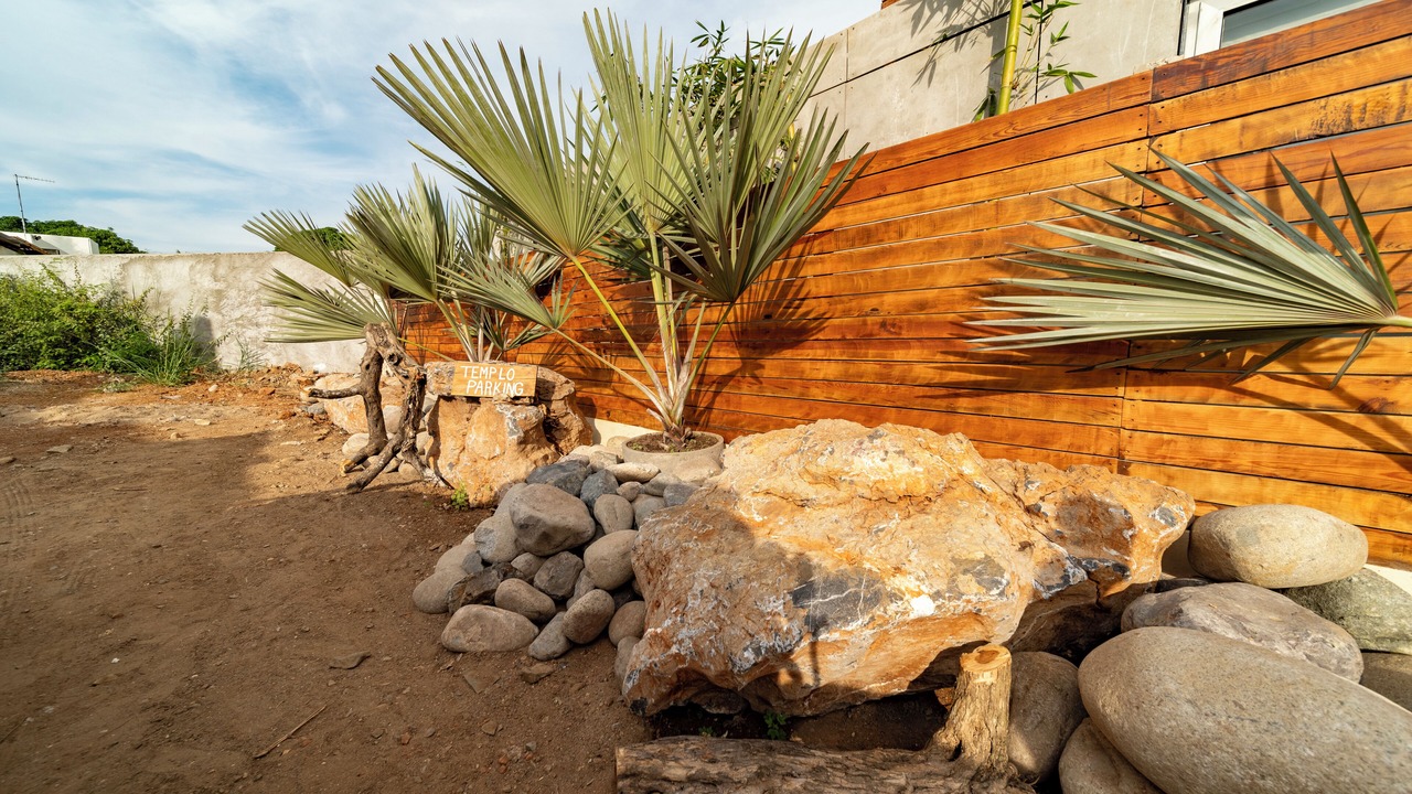 Photo of Outdoor in Saladita