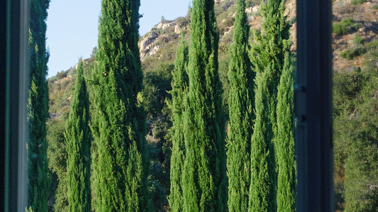 Photo of Others in San Rafael