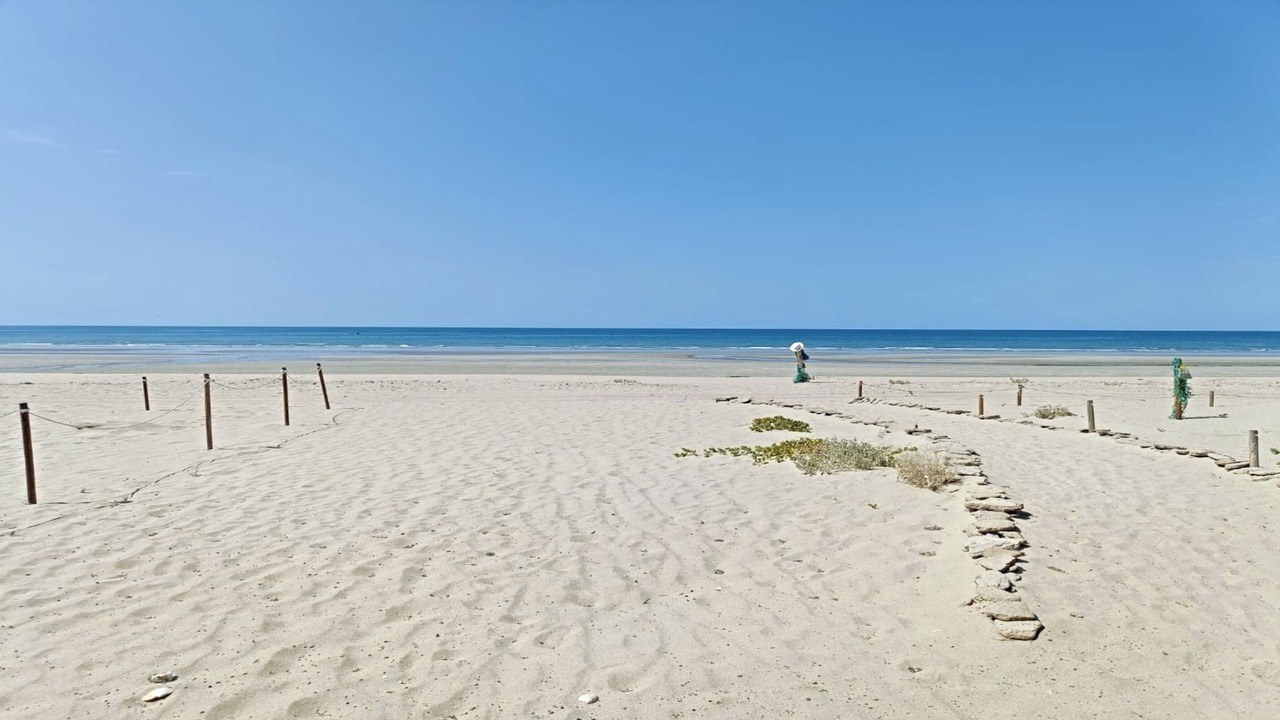 Photo of Others in Puerto Penasco