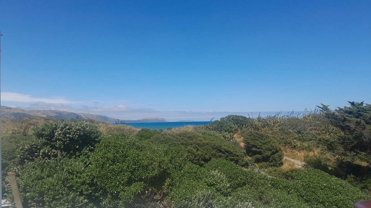 Photo of Others in Raumati South