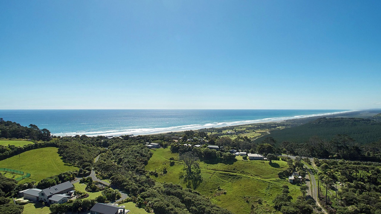 Photo of Outdoor in Muriwai