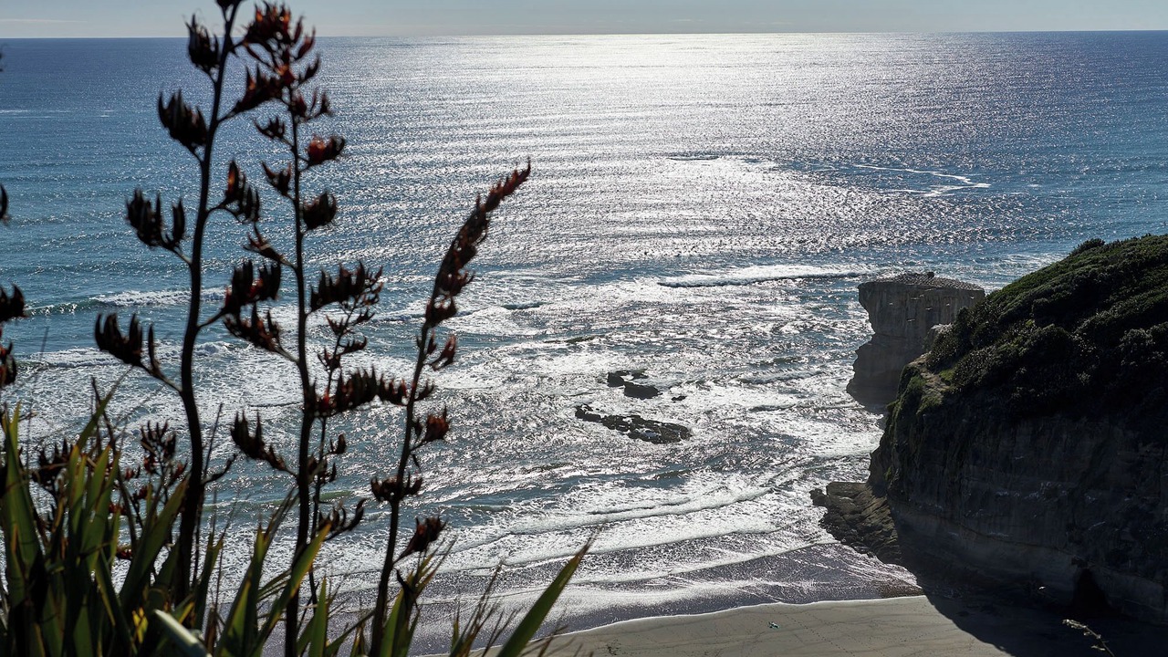 Photo of Others in Muriwai