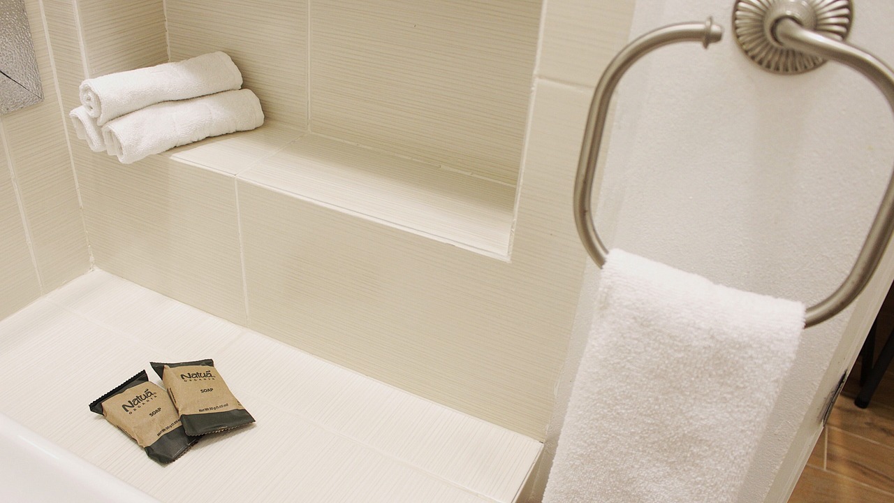 Photo of Bathroom in Alfredo V. Bonfil