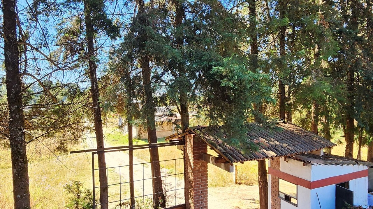 Photo of Bedroom in Macheros
