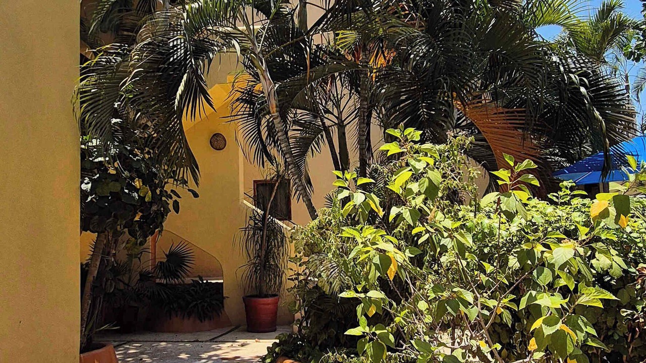 Photo of Outdoor in Playa la Madera