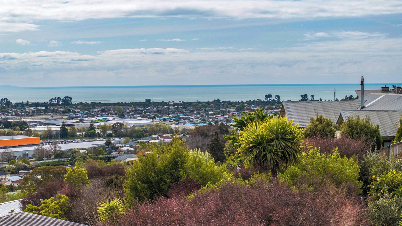 Photo of Others in Nelson