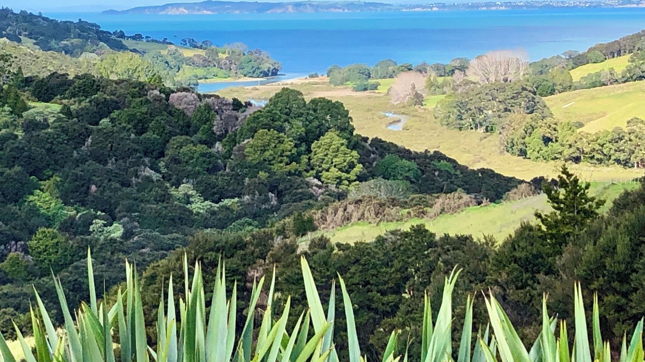 Photo of Others in Mahurangi West