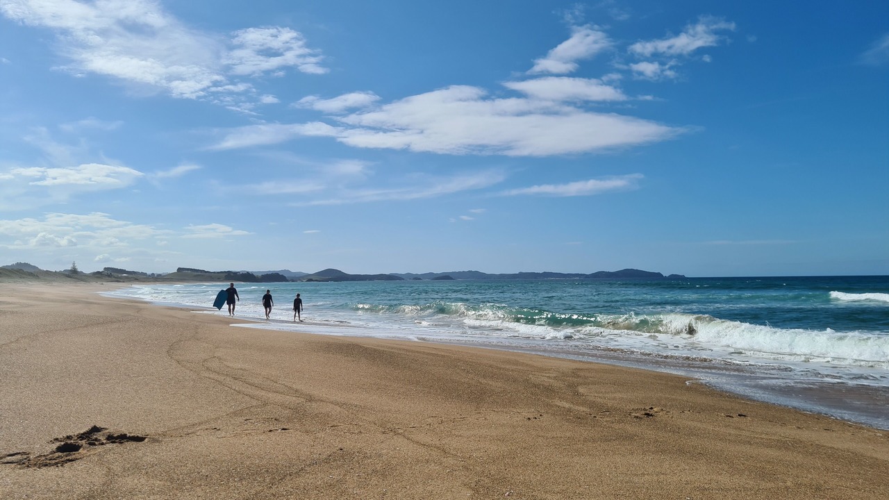 Photo of Others in Pataua South