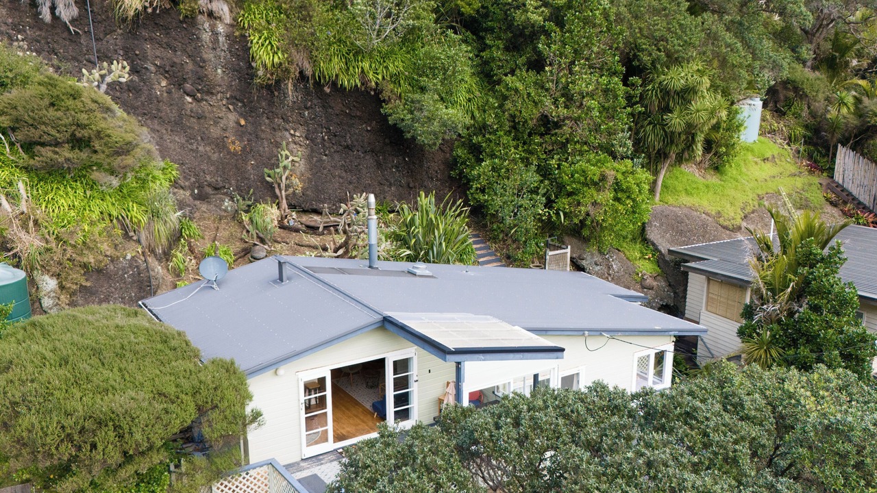 Photo of Outdoor in Piha