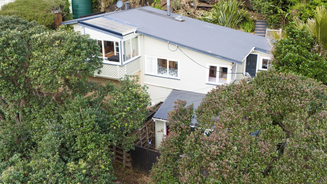 Photo of Outdoor in Piha