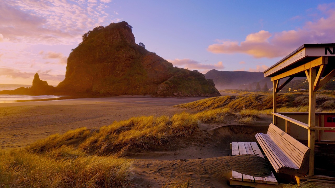 Photo of Outdoor in Piha