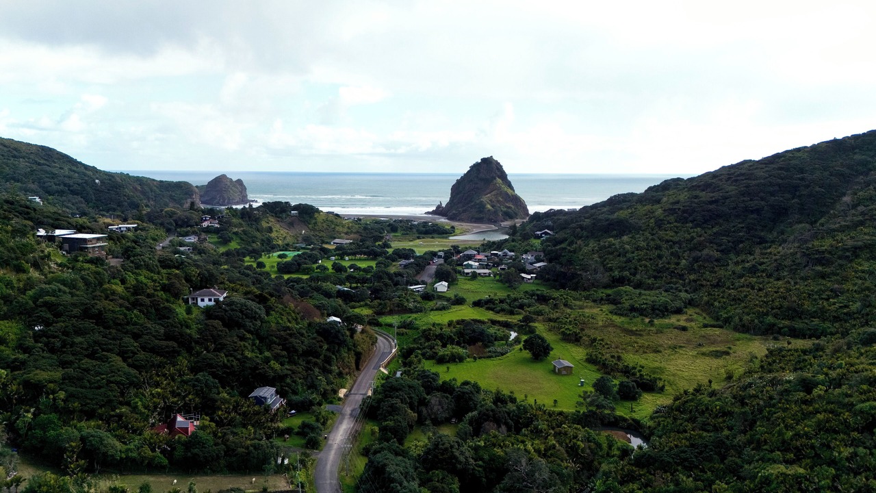 Photo of Outdoor in Piha