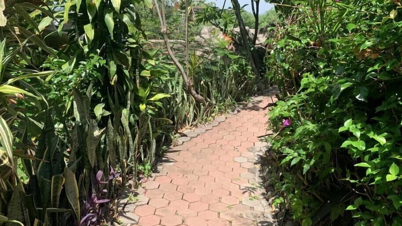 Photo of Outdoor in Tres de Mayo