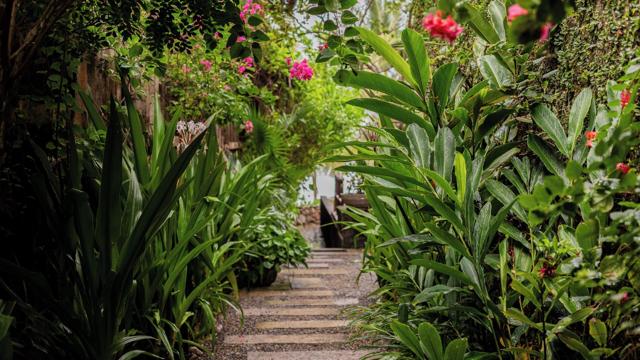 Photo of Outdoor in Troncones