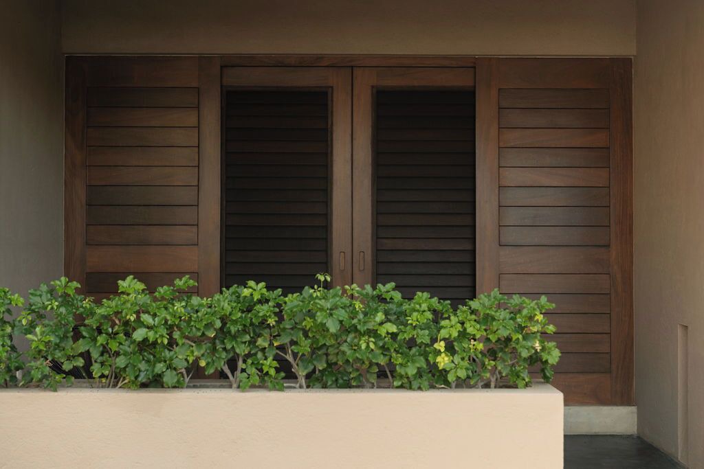 Photo of Outdoor in Troncones