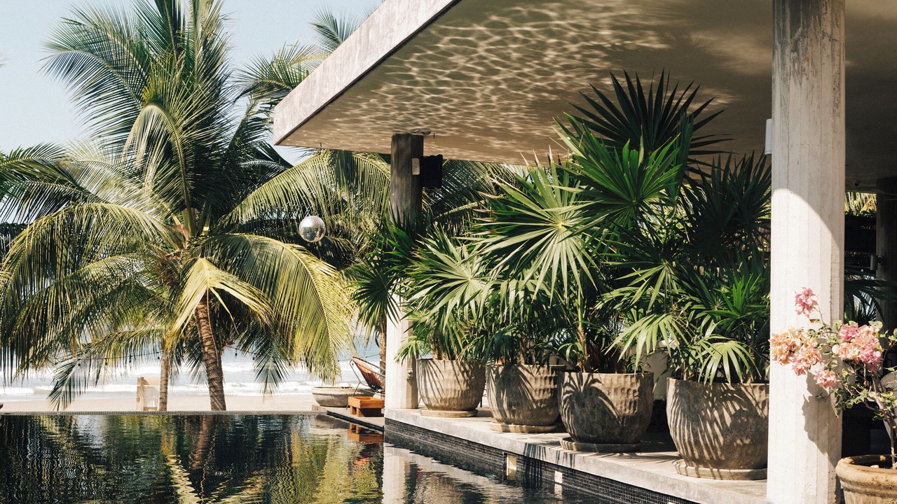 Photo of Outdoor in Troncones