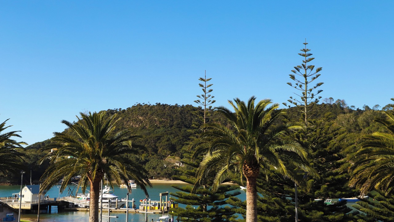 Photo of Outdoor in Ferry Landing