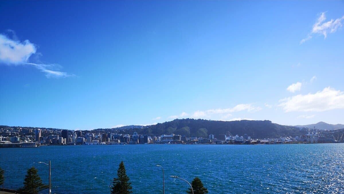 Photo of Others in Oriental Bay