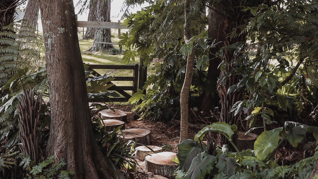 Photo of Outdoor in Kourawhero