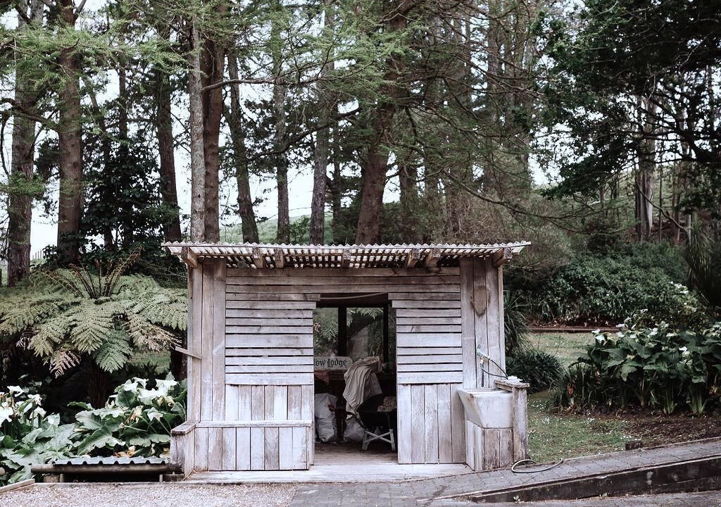 Photo of Outdoor in Kourawhero