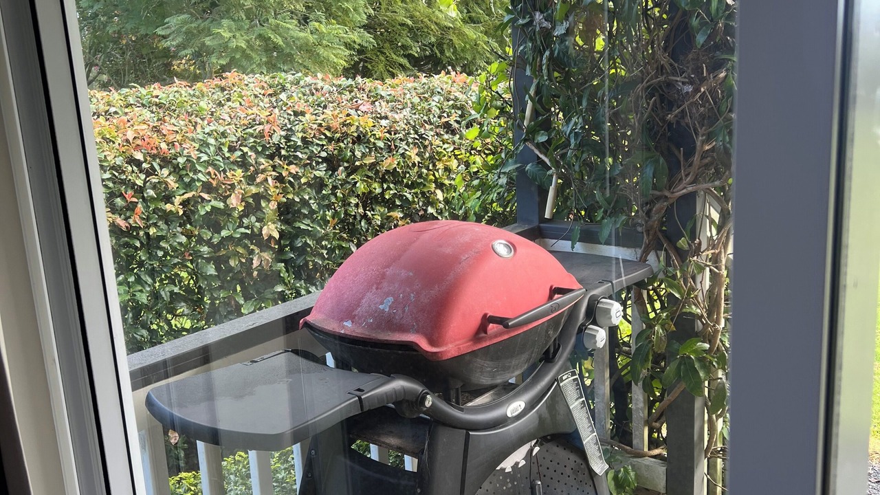Photo of Outdoor in Kerikeri