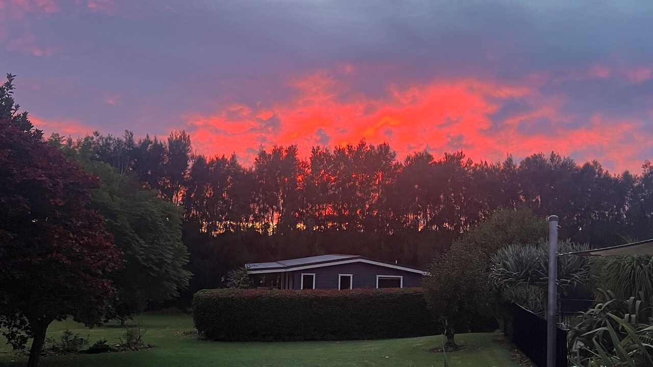 Photo of Outdoor in Kerikeri