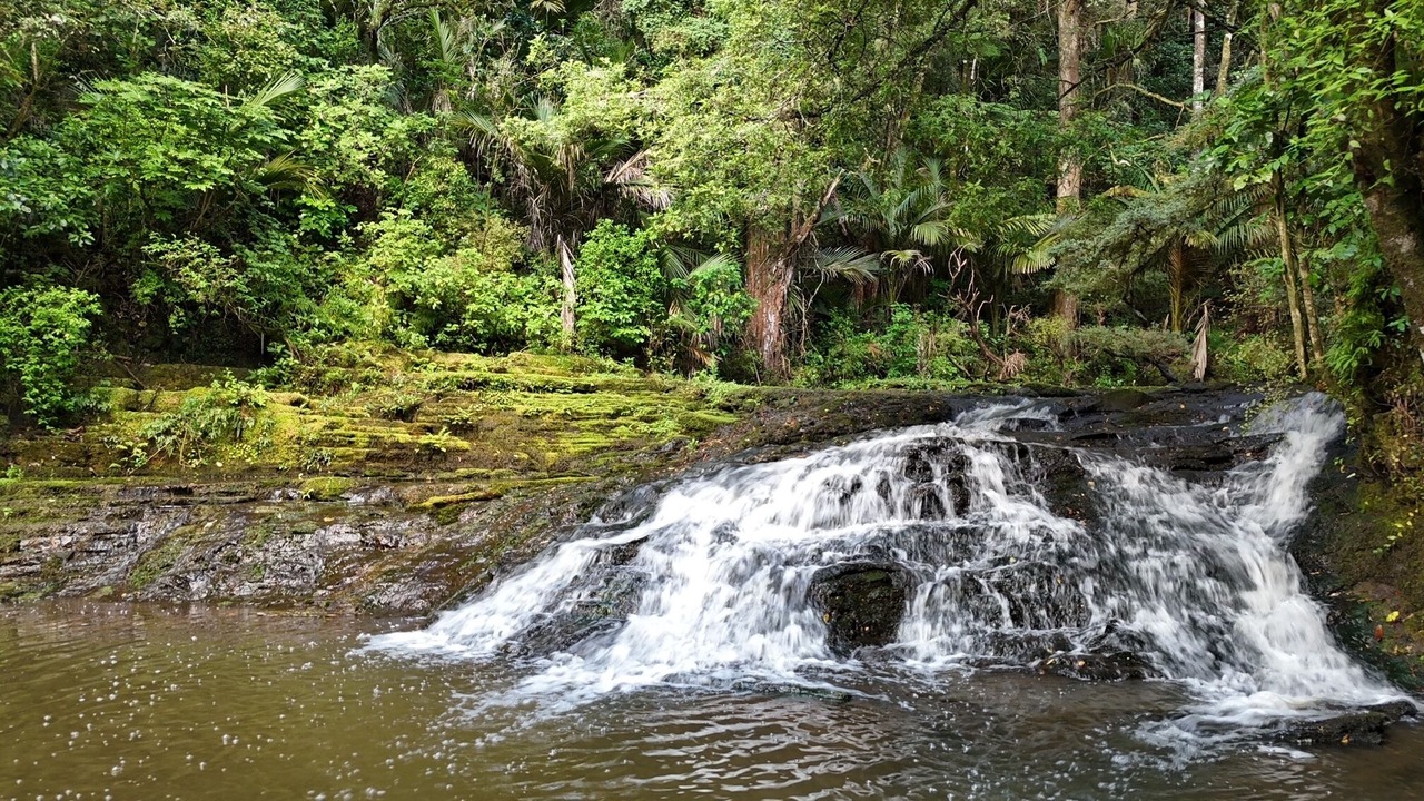 Photo of Outdoor in Warkworth