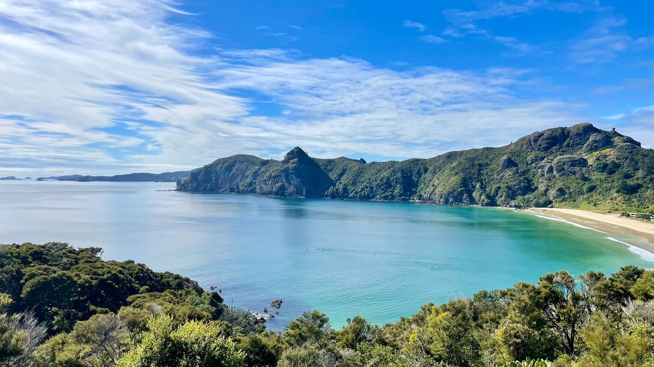 Photo of Others in Taupo Bay