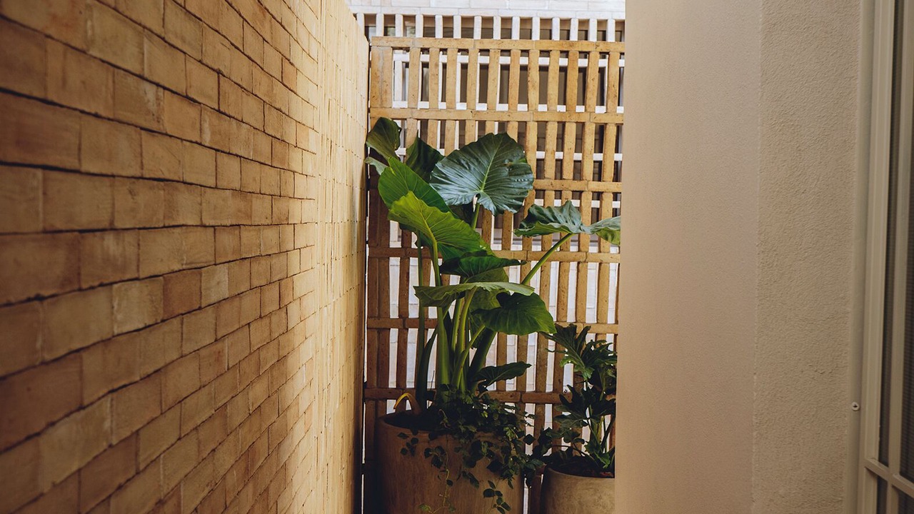 Photo of Outdoor in Alvaro Obregon