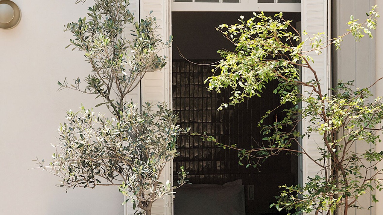 Photo of Outdoor in Alvaro Obregon