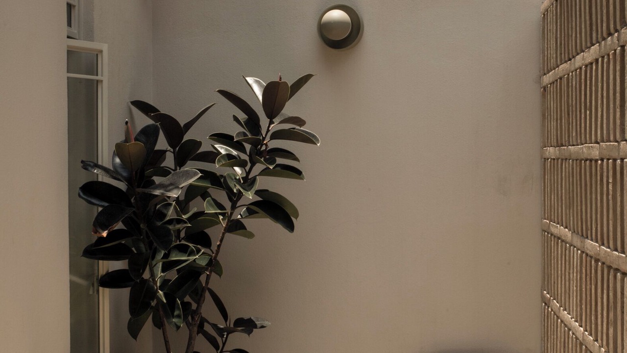 Photo of Bedroom in Alvaro Obregon