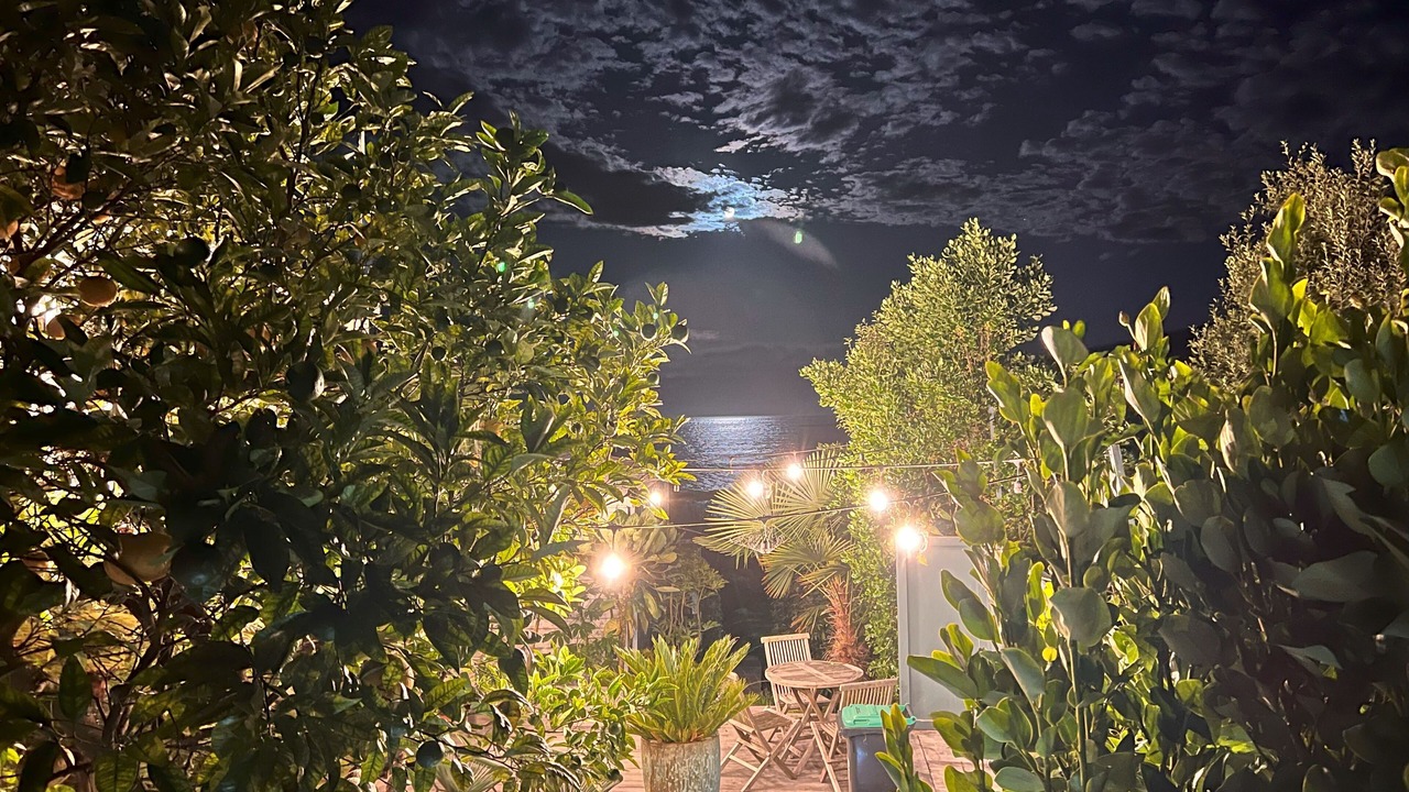 Photo of Outdoor in Sumner