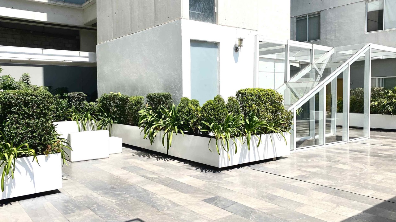 Photo of Outdoor in San Miguel Chapultepec