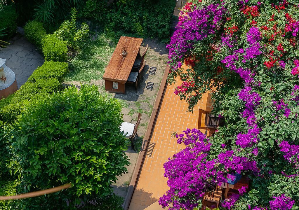 Photo of Outdoor in San Miguel Chapultepec