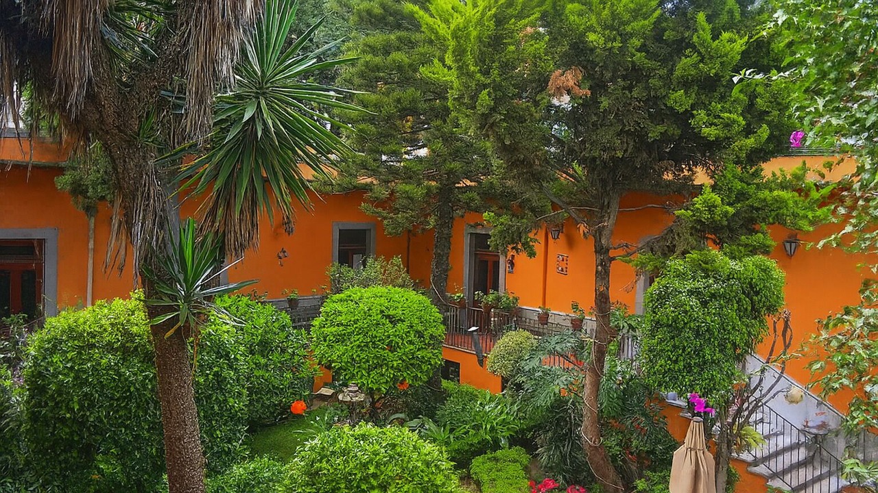 Photo of Outdoor in San Miguel Chapultepec