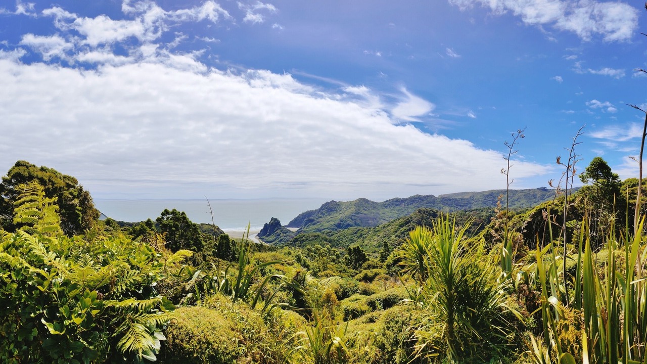 Photo of Outdoor in Karekare