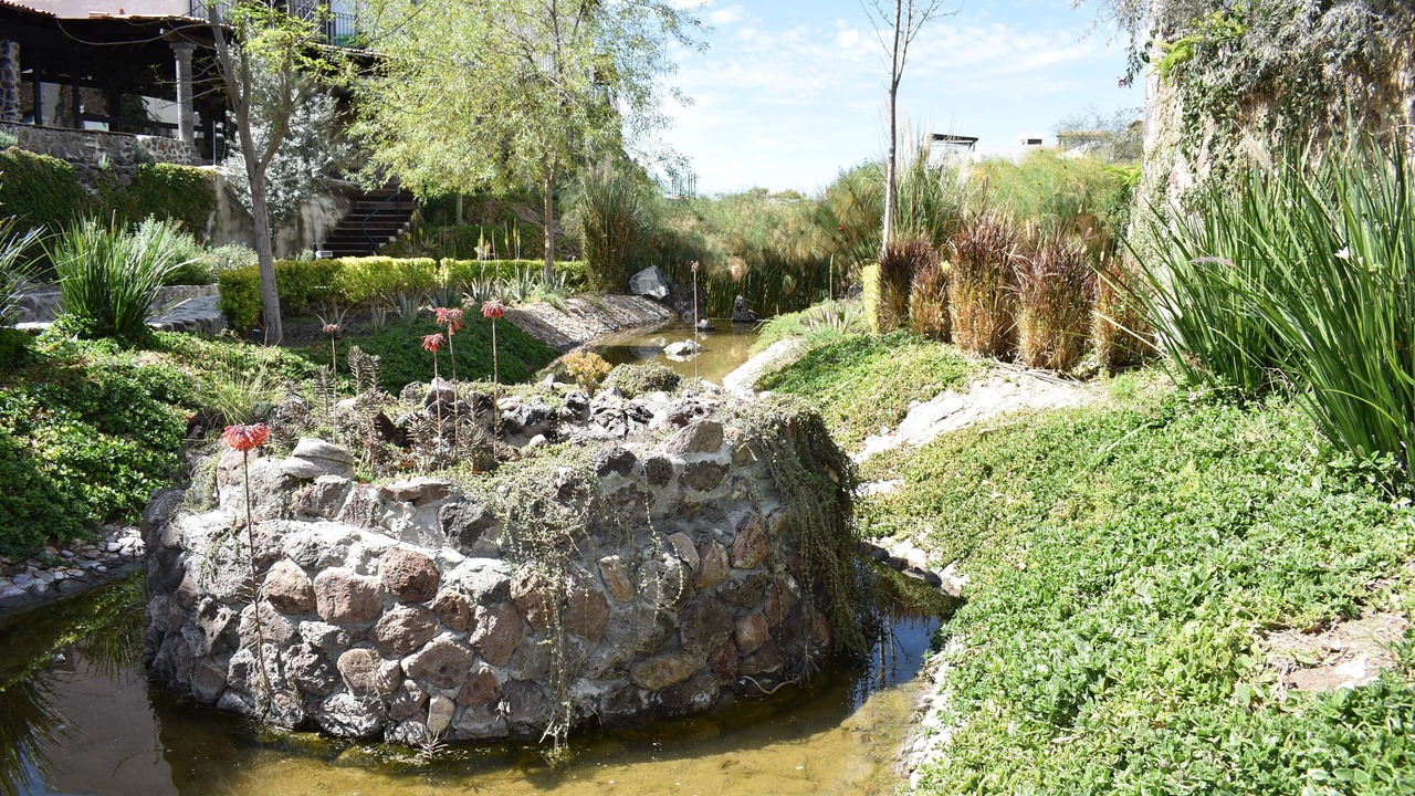 Photo of Outdoor in San Miguel de Allende
